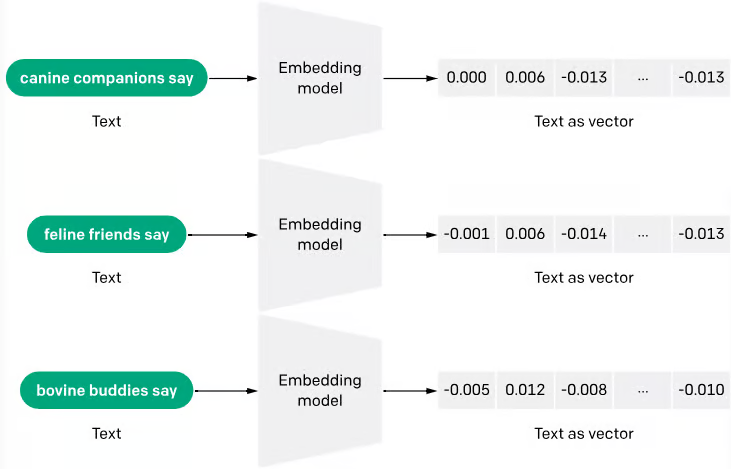 embedding_graphic_1